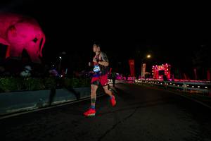 BIB: 
                            <button type="button" onclick="openModal(26552574)" class="btn btn-primary btn-sm float-right btn-popup" data-toggle="modal" data-target=".modal-high-quality">
                        <i class="fas fa-shopping-cart"></i> Add to Cart
                    </button>
                                            <button type="button" onclick="isThisMe(26552574, true)" class="btn btn-success btn-sm float-right btn-popup btn-isme hidden" data-toggle="tooltip" data-placement="bottom" title="นี่คือรูปของคุณใช่ไหม คลิกที่นี่เพื่อเอาเข้าอัลบั้ม">
                        <i class="fas fa-plus"></i> Add to album
                    </button>
                    <button type="button" onclick="isThisMe(26552574, false)" class="btn btn-warning btn-sm float-right btn-popup btn-isnotme hidden">
                        <i class="fas fa-ban"></i> Remove from album
                    </button>